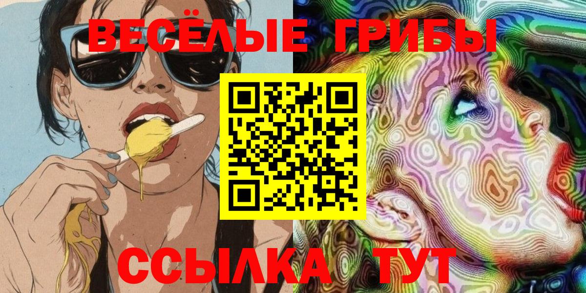 Псилоцибиновые грибы мицелий Электросталь
