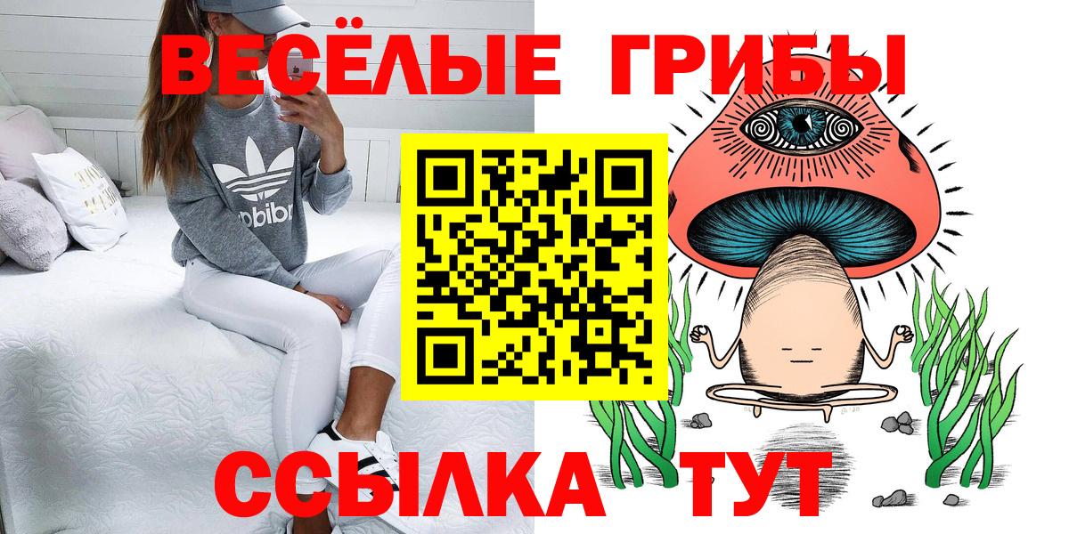 Электросталь  Псилоцибиновые грибы мухоморы  Псилоцибиновые грибы GOLDEN TEACHER  Вход с VPN 